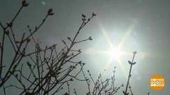 Где взять немножко солнца? Доброе утро. Фрагмент выпуска от 07.04.2020