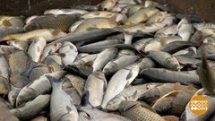 Хоть у кого-то выпускной… У мальков. Доброе утро. Фрагмент выпуска от 10.04.2020