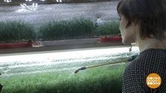 Открыть свой бизнес на самоизоляции. Доброе утро. Фрагмент выпуска от 14.04.2020