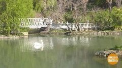 Сочи: 182 года — разве это возраст… Доброе утро. Фрагмент выпуска от 21.04.2020