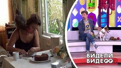 Видели видео? Часть 2