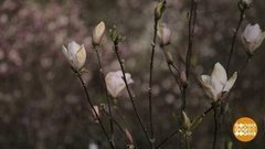 Страна цветет. Доброе утро. Фрагмент выпуска от 30.04.2020