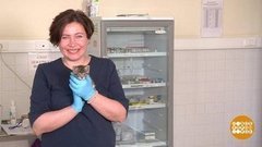 Кто он, современный Айболит? Доброе утро. Фрагмент выпуска от 06.05.2020