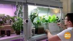 Городские огороды. Доброе утро. Фрагмент выпуска от 14.05.2020