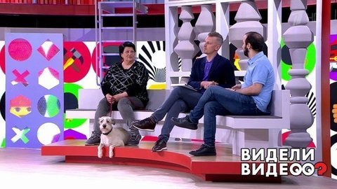 Видели видео? Часть 2. Выпуск от 17.05.2020