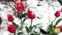 У природы нет плохой погоды! Доброе утро. Фрагмент выпуска от 20.05.2020