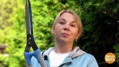 Живая изгородь: подравниваем виски. Доброе утро. Фрагмент выпуска от 21.05.2020