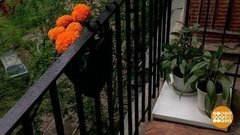 Как обустроить балкон. Доброе утро. Фрагмент выпуска от 21.05.2020