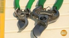 Выбираем секатор для дачи. Доброе утро. Фрагмент выпуска от 22.05.2020