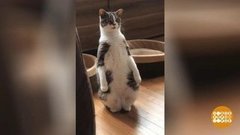 Подмосковье — родина динозавров… Доброе утро. Суббота. Фрагмент выпуска от 23.05.2020