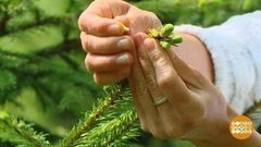 Аптека под ногами. Доброе утро. Суббота. Фрагмент выпуска от 23.05.2020