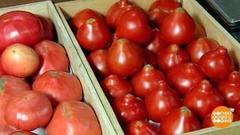 Помидор огурцу не товарищ! Доброе утро. Фрагмент выпуска от 25.05.2020