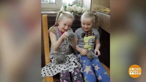 Котенок по имени Карантин. Доброе утро. Фрагмент выпуска от 26.05.2020