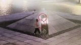 Мужчина и две женщины, которые осквернили памятник на братской могиле рабочих и матросов в Кронштадте, задержаны