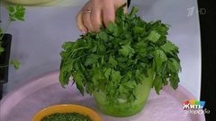 Супертрава на вашей грядке: петрушка. Жить здорово! Фрагмент выпуска от 27.05.2020