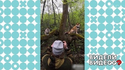 Непростая фотосессия. Видели видео? Фрагмент выпуска от 31.05.2020