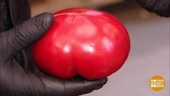 Где ты, сладкий помидор? Доброе утро. Фрагмент выпуска от 04.06.2020