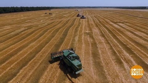 Урожай-2020. Все будет хорошо. Доброе утро. Фрагмент выпуска от 04.06.2020