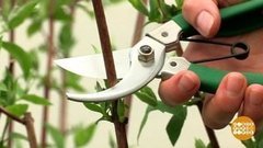 Делай «кусь»! Доброе утро. Фрагмент выпуска от 19.06.2020