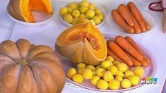 Радуга против рака. Оранжевый цвет. Жить здорово! Фрагмент выпуска от 19.06.2020