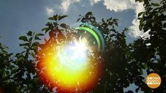 Солнце! Мы тебя дождались! Доброе утро. Суббота. Фрагмент выпуска от 20.06.2020