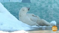 Сугробы для Аяны. Доброе утро. Фрагмент выпуска от 22.06.2020