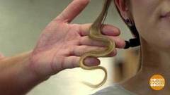 Локоны по-голливудски. Доброе утро. Фрагмент выпуска от 25.06.2020