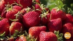 На вкус? На цвет? На запах! Доброе утро. Фрагмент выпуска от 02.07.2020