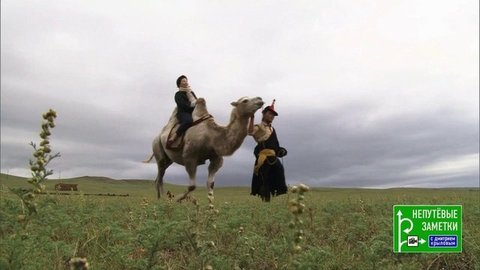 Ессентуки и Монголия. Непутевые заметки. Выпуск от 05.07.2020