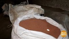 Где живет урожай. Доброе утро. Фрагмент выпуска от 06.07.2020