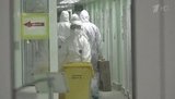 Глава Росстата объяснил, что стоит за ежедневными сводками по ситуации с коронавирусом