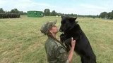 В Подмосковье стартовал конкурс кинологов «Верный друг»