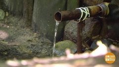 Родниковая вода… с хлором?! Доброе утро. Фрагмент выпуска от 15.07.2020