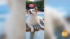 Марафон хороших новостей. Айда купаться! Доброе утро. Фрагмент выпуска от 21.07.2020