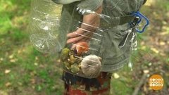 Дмитрий Талабуев собрался по грибы. Доброе утро. Фрагмент выпуска от 23.07.2020