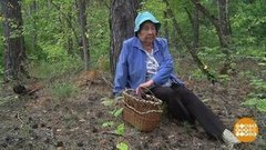 Грибник, не заблуждайся! Доброе утро. Фрагмент выпуска от 30.07.2020