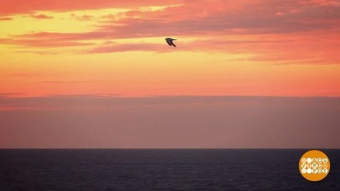 В путешествие — вместе с РГО. Доброе утро. Фрагмент выпуска от 03.08.2020