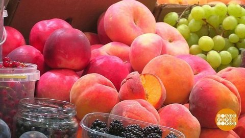 Персики и нектарины: а какая разница? Доброе утро. Фрагмент выпуска от 04.08.2020