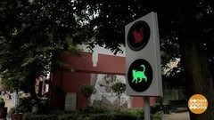 Светофор все видит! Доброе утро. Фрагмент выпуска от 05.08.2020