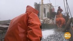 Моря цветут. На радость рыбаку. Доброе утро. Фрагмент выпуска от 06.08.2020