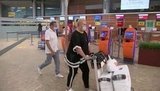 ФАС предупредила россиян об опасности покупки билетов в страны, с которыми не восстановлено авиасообщение