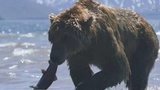 Дальний Восток глазами участников онлайн-фестиваля «Красиво.ДВ»
