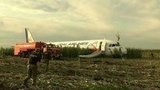 Второй день рождения отмечают в этот день пассажиры аэробуса, севшего на кукурузное поле в Подмосковье
