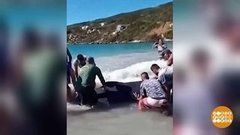 В мире. Спасли кита. Доброе утро. Фрагмент выпуска от 21.08.2020