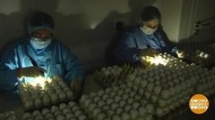 Вакцинация от гриппа — по-новому? Доброе утро. Фрагмент выпуска от 24.08.2020