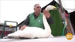 С праздником, айболиты! Доброе утро. Фрагмент выпуска от 31.08.2020