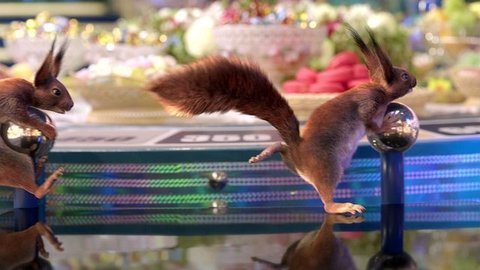 Белки и Леонид Якубович. К 25-летию Первого канала