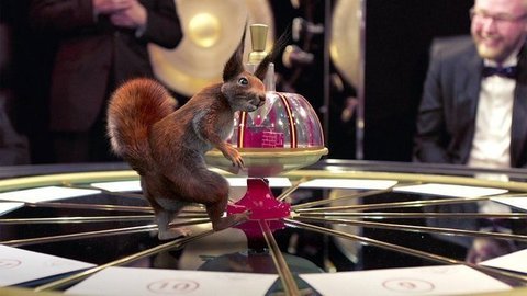 Белки и Что? Где? Когда? К 25-летию Первого канала