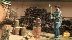 Чтобы дрова не улетели. Доброе утро. Фрагмент выпуска от 11.09.2020 (Гербар)