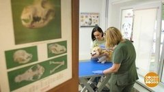 Плюша чистит зубы. Доброе утро. Суббота. Фрагмент выпуска от 12.09.2020